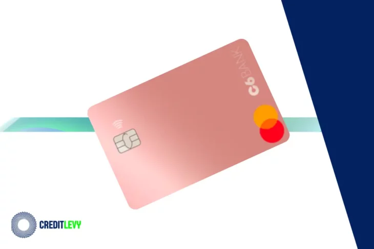 Cartão de crédito C6 Bank rosa com chip e tecnologia de aproximação, exibido em fundo branco com detalhes gráficos e logotipo da CreditLevy.