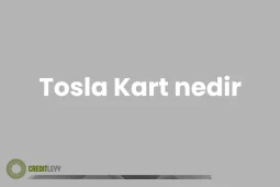 Tosla Kart